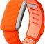 WHOOP SportFlex Wrist Band Soft